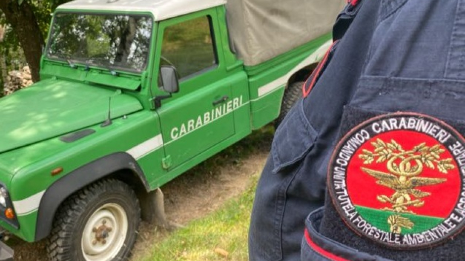 Il Gruppo Carabinieri Forestale di Biella: il bilancio delle attività