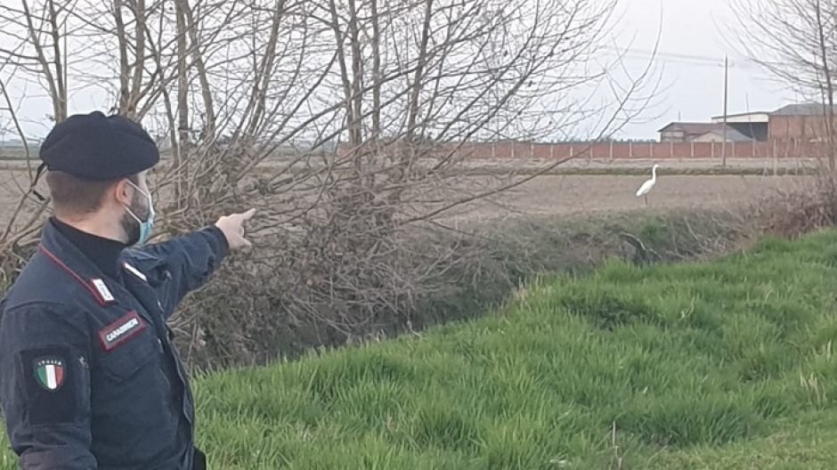 Spacciatore arrestato nei boschi dai carabinieri