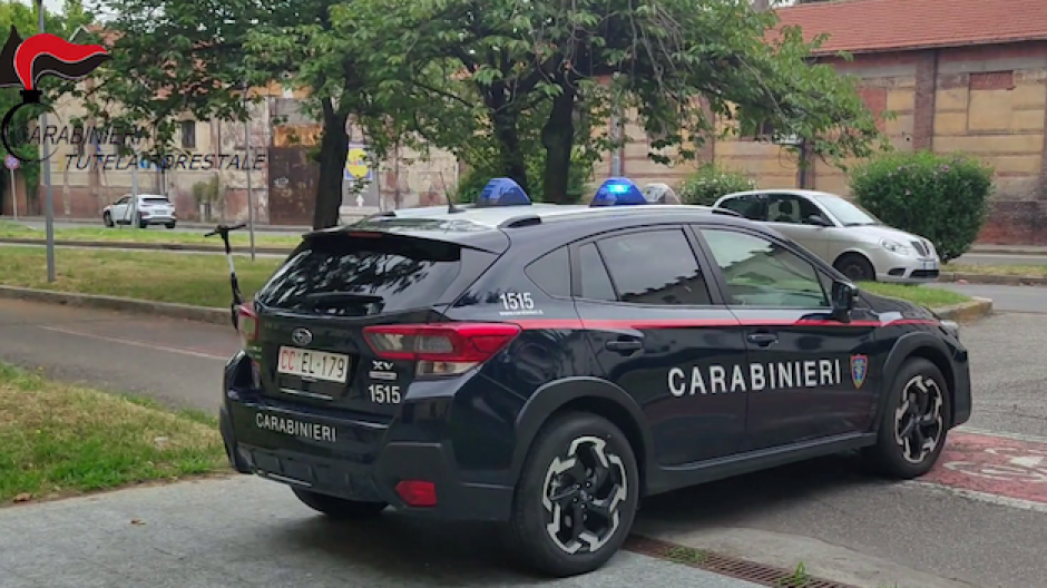 Carabinieri Forestale, i dati dell'attività svolta nel 2025 nel Novarese