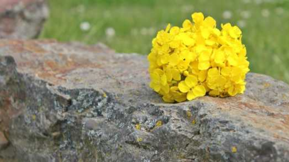 A Invorio, Paruzzaro e Oleggio Castello si ricorda l'Eccidio di San Marcello