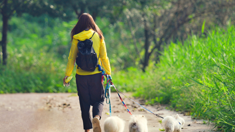 Le Isole MAB Family Run: la corsa non competitiva nel parco (con cane o senza) 