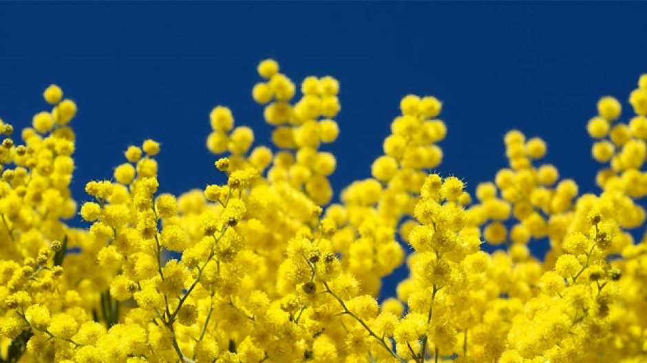 Città per le donne: a Biella mostre, teatro e incontri