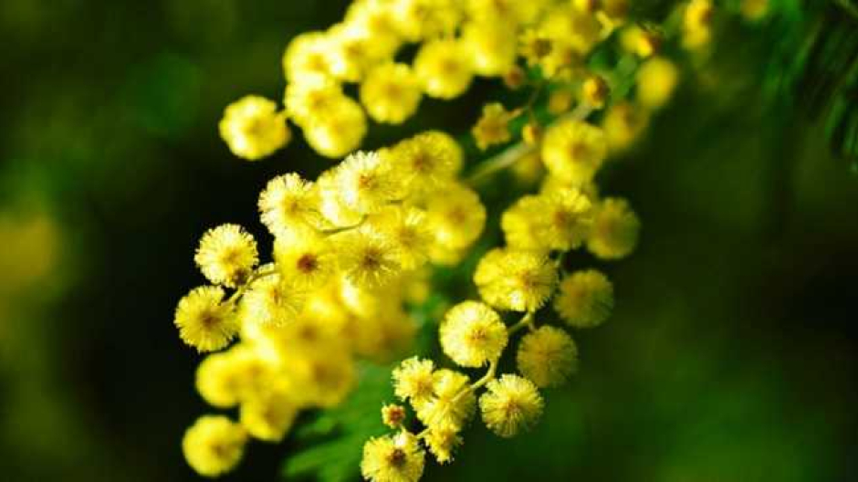 Numerosi gli appuntamenti del mese di marzo al Circolo dei Lettori