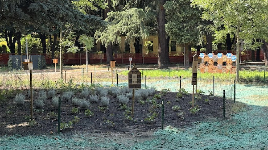 Novara, il 20 settembre inaugurazione dell'oasi tech della biodiversità