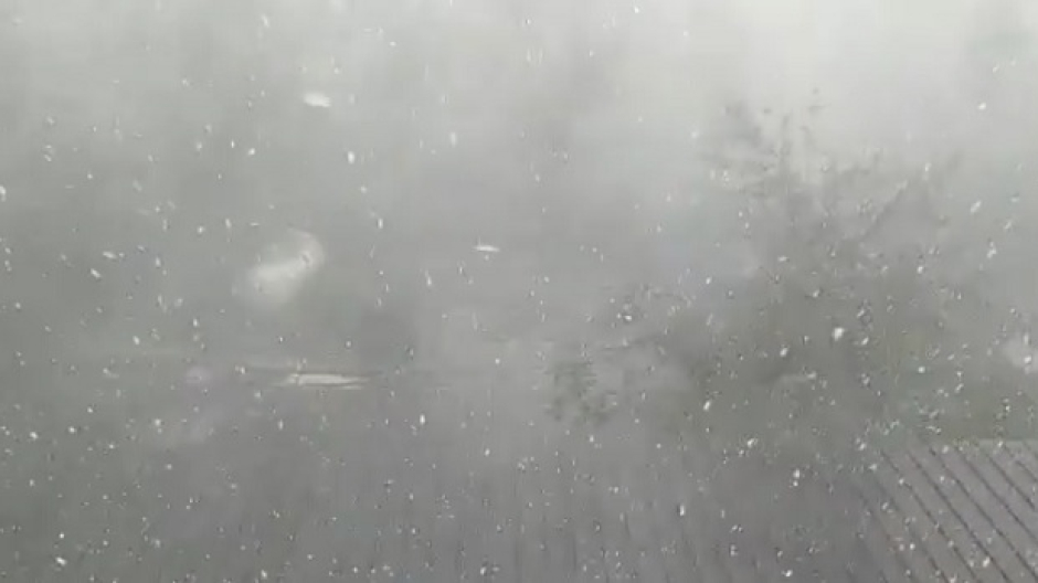 Forti piogge nel Biellese: vigili del fuoco all'opera