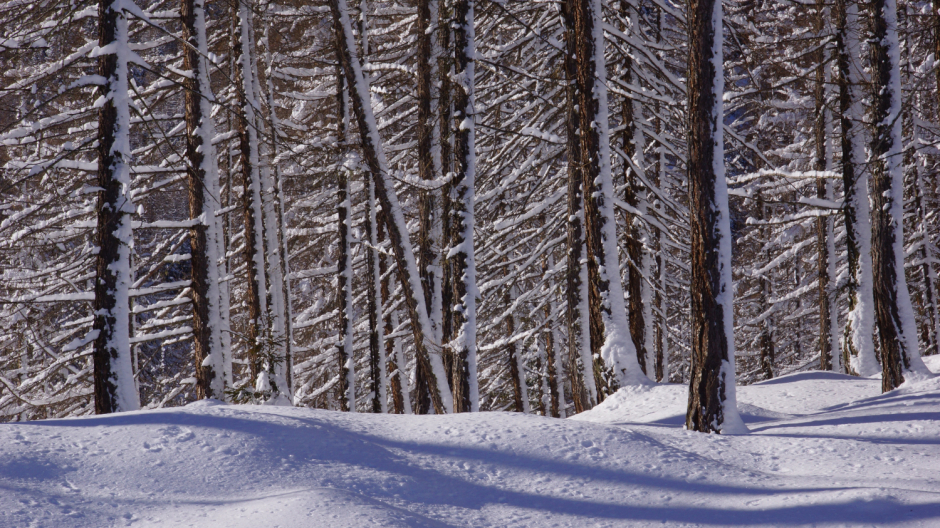 Maltempo di primavera: nuova neve sulle Alpi, riflettori sull’Ossola