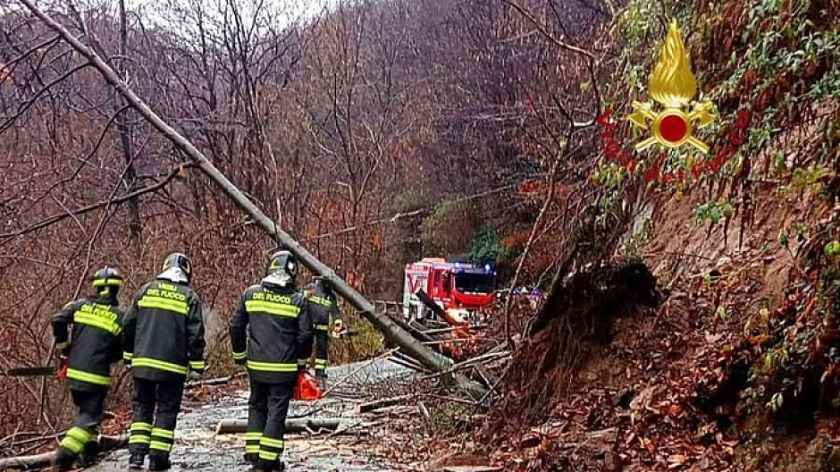Vigili del fuoco intervenuti per piante cadute in Valsessera