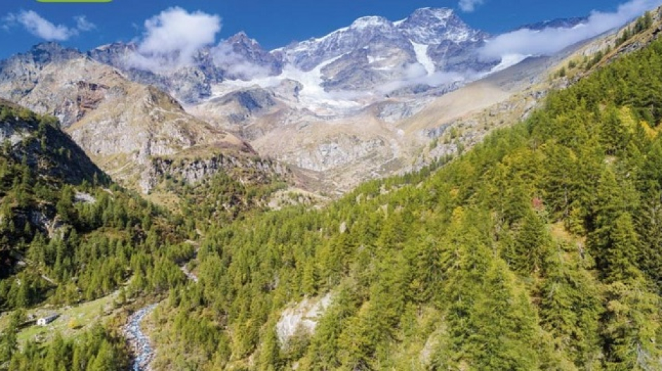 Uncem Nazionale: in giunta anche Paola Vercellotti